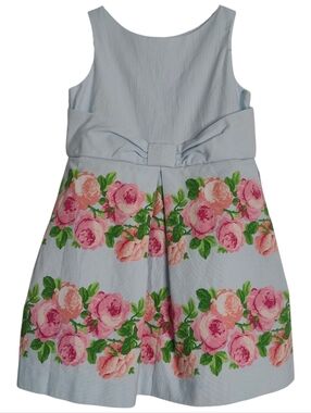Janie and Jack Floral Dress 3 Blue Pink Rose Spring Garden Cotton Twill 3T